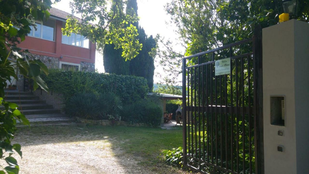 Villa Degli Olmi Allumiere Exterior foto